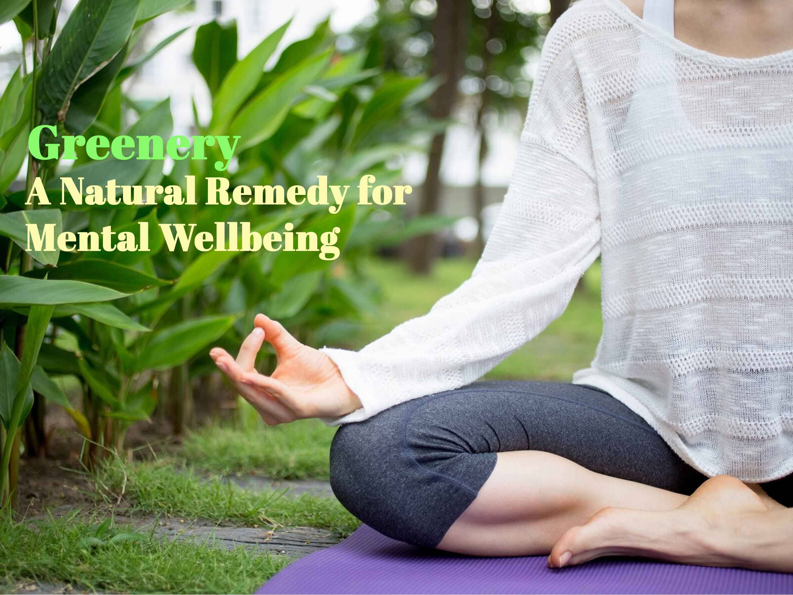 Greenery: A Natural Remedy for Mental Wellbeing