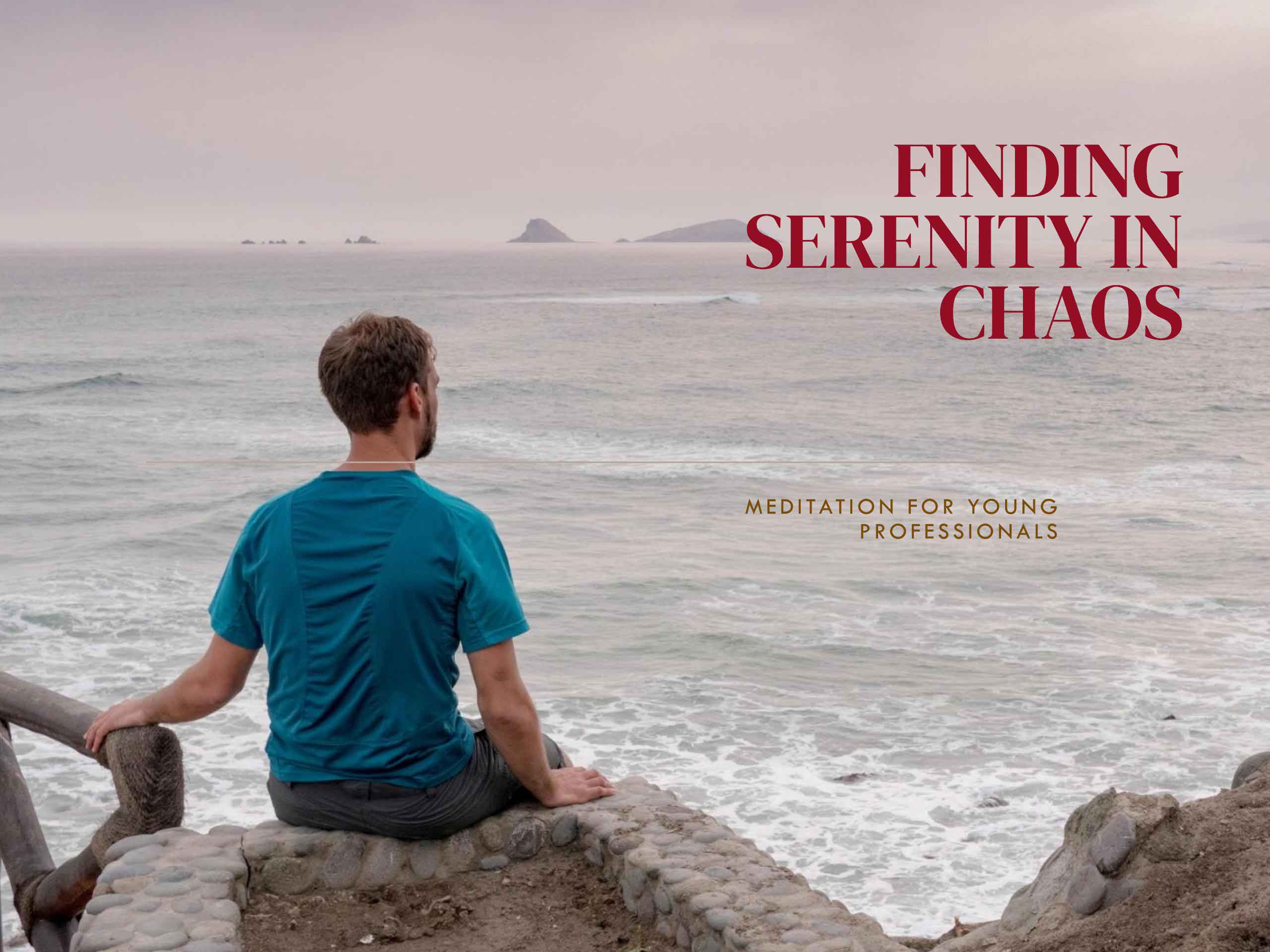 Serenity Amidst Chaos: Meditation for Young Professionals